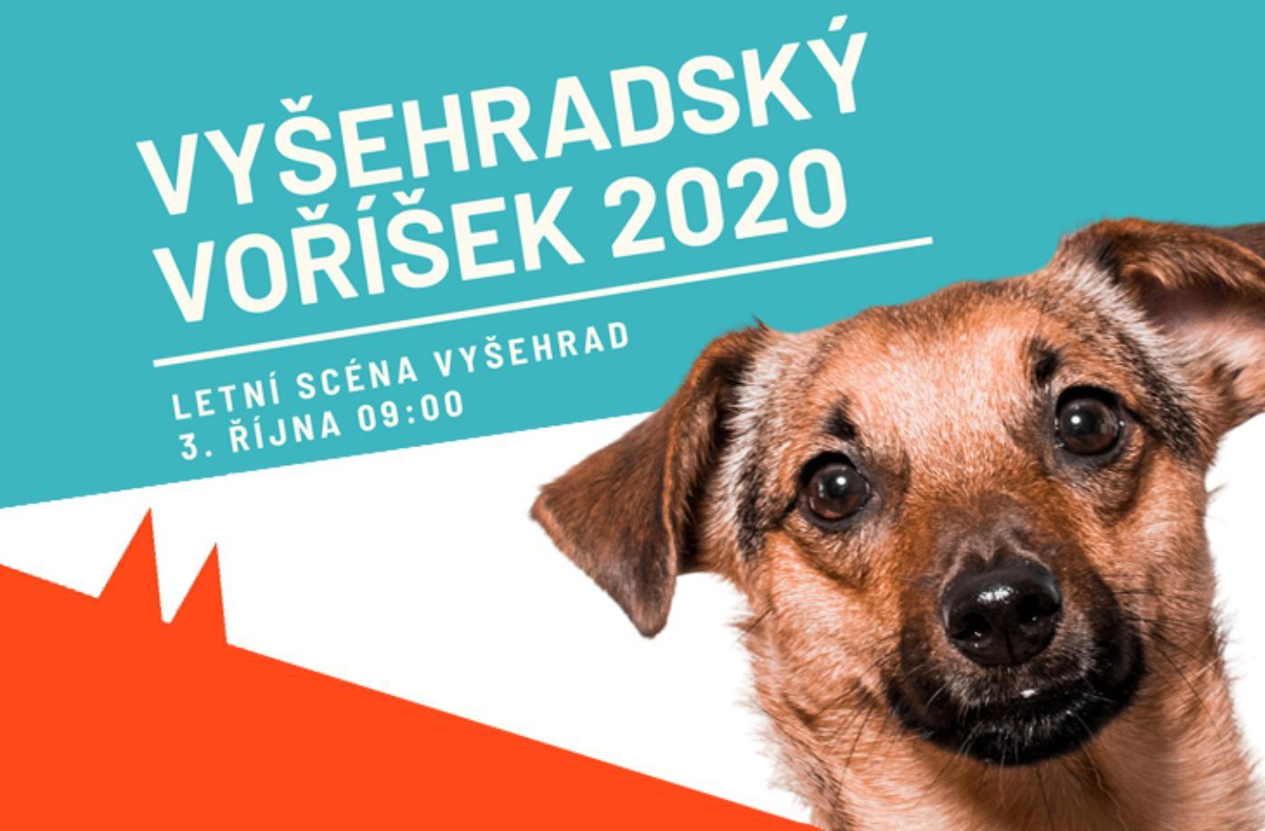 Vyšehradský voříšek se rozštěká počátkem října