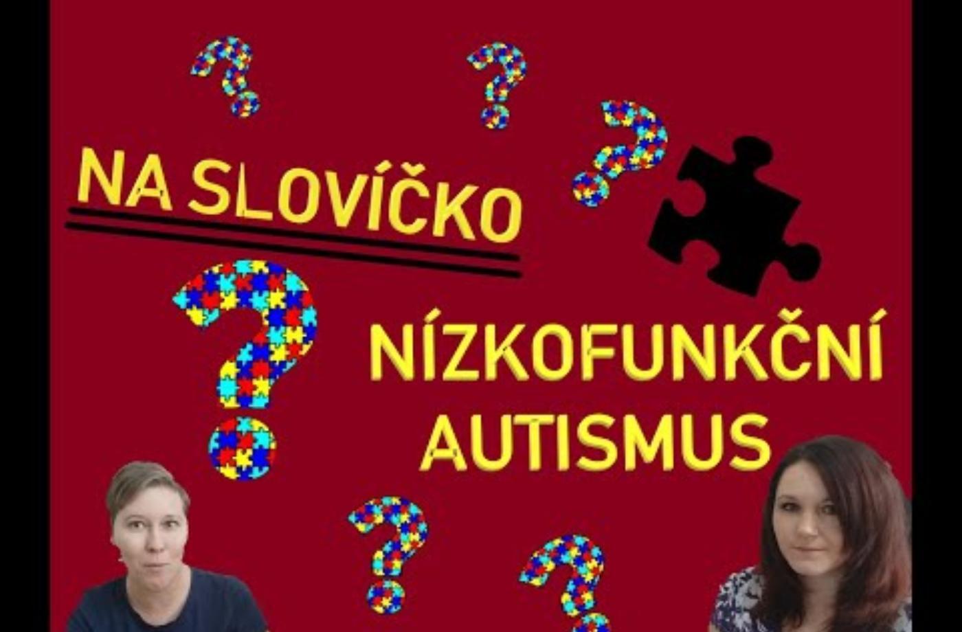 Autismus v dospělosti