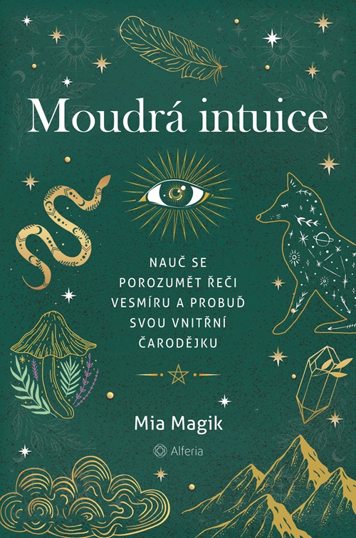 OB_Intuice_4